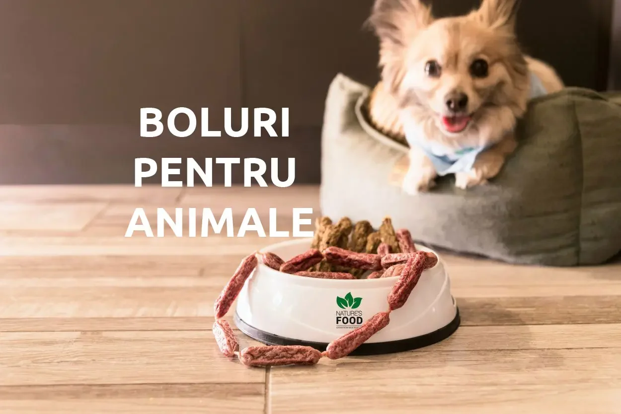 Boluri pentru animale