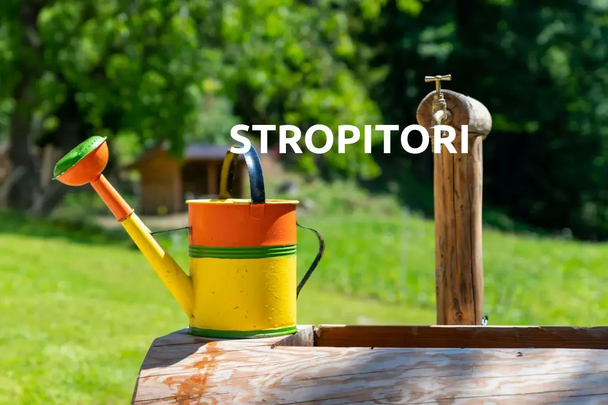 Stropitori