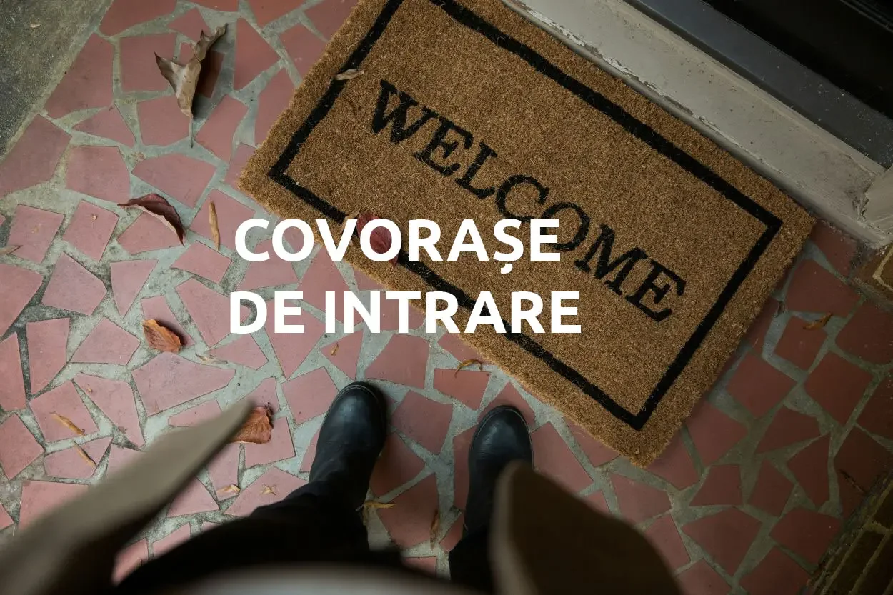 Covorașe de intrare