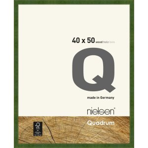 Nielsen Holz-Wechselrahmen Quadrum 40x50 cm grün