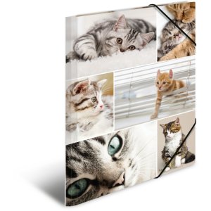 Herma Sammelmappe A4 Karton Katzen