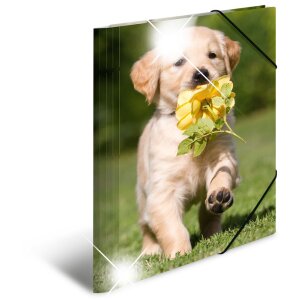 Herma Sammelmappe Glossy Tiere A4 PP Hunde