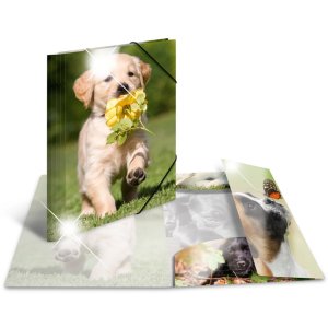 Herma Sammelmappe Glossy Tiere A4 PP Hunde