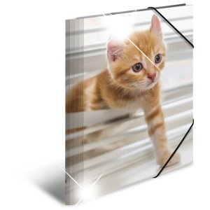 Herma Sammelmappe Glossy Tiere A4 PP Katzen