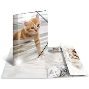 Herma Sammelmappe Glossy Tiere A4 PP Katzen