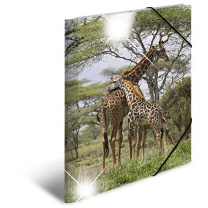 Herma Sammelmappe Glossy Tiere A3 PP Giraffe