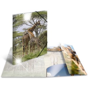 Herma Sammelmappe Glossy Tiere A3 PP Giraffe