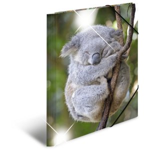 Herma Sammelmappe Glossy Tiere A3 PP Koala