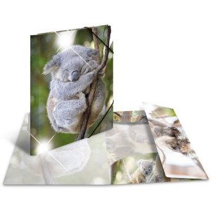 Herma Sammelmappe Glossy Tiere A3 PP Koala