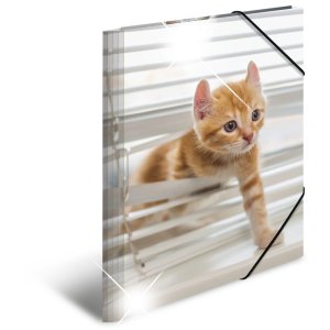 Herma Sammelmappe Glossy Tiere A3 PP Katzen