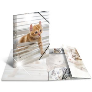 Herma Sammelmappe Glossy Tiere A3 PP Katzen