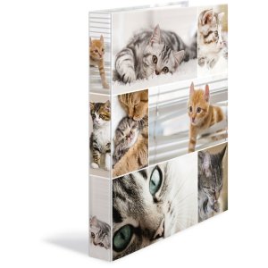 Herma Ringbuch A4 Karton 4D Katzen