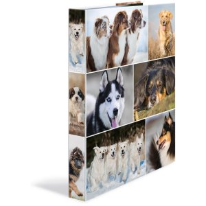 Herma Ringbuch A4 Karton 2D Hunde