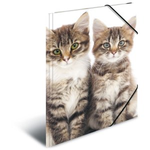 Herma Sammelmappe A4 PP - Katzen