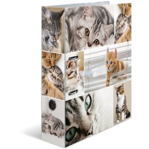 Herma Motiv-Ordner A4 Animals Katzen 285x315 mm Karton