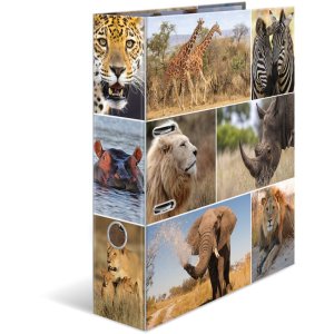 Herma Motiv-Ordner A4 A4 Animals - Afrika Tiere