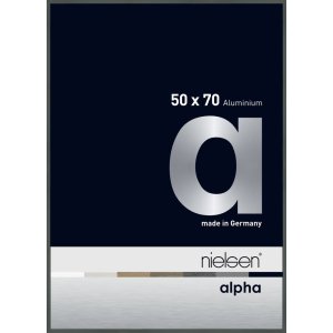 Nielsen Aluminium Bilderrahmen Alpha 50x70 cm platin