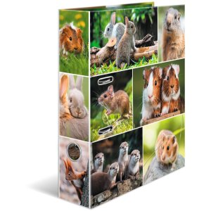 HERMA Motiv-Ordner A4 Animals Nagetiere farbenfrohes...