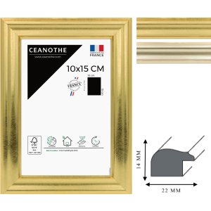 Ceanothe cadru Julia MDF 10x15 cm la 60x80 cm aur normal...