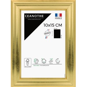 Ceanothe cadru Julia MDF 10x15 cm la 60x80 cm aur normal...