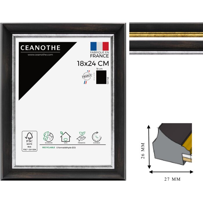 Ceanothe Picture Frame Pandore MDF molding width 2.7 cm Formats 10x15 to 60x80cm