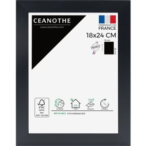 Ceanothe cadru Eternel MDF bloc profil 2,5 cm la 50x70 cm orizontal de mare