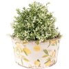 Clayre & Eef 6CE1533M Decorațiune Ghiveci de flori Ø 16x9 cm Galben