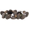 Clayre & Eef 6PR4819 Suport pentru lumânări de ceai Pine Cone 27x11x6 cm Brown Candle Holder