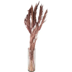 Clayre & Eef 5DF0024 Flori uscate Bamboo 100 cm (10) Roz