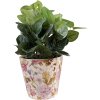 Clayre & Eef 6CE1562S Decorațiune Ghiveci de flori Ø 14x13 cm Roz - Bej