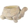 Clayre & Eef 6TE0458 Ghiveci de flori Turtle Ø 22x16x10 cm Bej