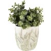 Clayre & Eef 6TE0463S Ghiveci de flori Ø 13x13 cm Verde - Bej