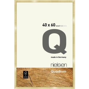 Nielsen cadru detașabil din lemn Quadrum 40x60 cm aur