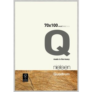 Nielsen lemn cadru detașabil Quadrum 70x100 cm argint