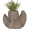 Clayre & Eef 6TE0401S Ghiveci de flori pentru interior Angel Grey 23x13x17 cm