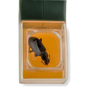 Carson Bugview lupă cu o singură mână pentru prinderea insectelor Lentile de sticlă acrilică cu mărire 5x