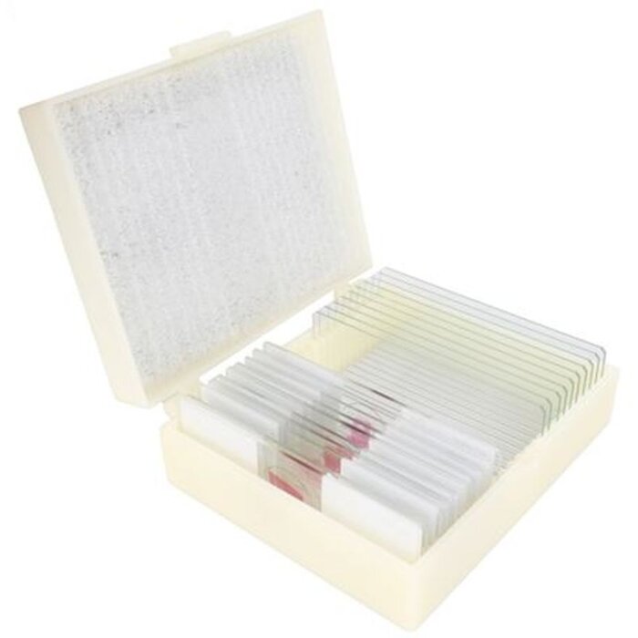 Cone Preparate Set Bacterii Organisme simple 10 buc.