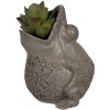 Clayre & Eef 6PR5059 Ghiveci de flori Broască Decorație 19x18x23cm Gri