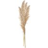 Clayre & Eef 5DF0044 Iarbă decorativă Pampas Culori naturale 70cm Set de 5