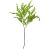 Clayre & Eef 5PL0081 Ramură decorativă ferigă artificială verde 8x4x75 cm