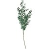 Clayre & Eef 5PL0084 Ramură decorativă verde 8x3x70 cm