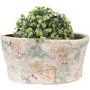 Clayre & Eef 6TE0533M Ghiveci de flori bej verde 22x13x11 cm