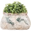 Clayre & Eef 6TE0536S Ghiveci de flori 17x13x9 cm