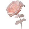 Clayre & Eef 50780 Decorațiune Rose Ø 33x100 cm