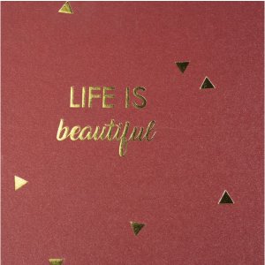 Exacompta album spirală LIFE roșu 32x22cm 50 pagini negru 250g/m² aur embossing