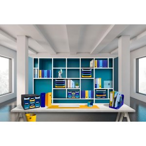 Exacompta 18202SETD Set de 4 dosare pentru reviste MAG-CUBE Bee Blue culori asortate