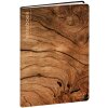 Exacompta Quo Vadis notebook Respire multicolor căptușit 16x24 cm reciclare