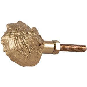 Clayre Eef Doorknob Shell Culoare aurie 4x3x3 cm Retro...