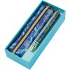 Goldbuch set preferat PEN & pencil case Natures Melody Cutie cadou albastră